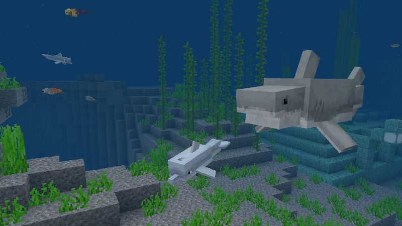 Aquatic Life Add-On by Pathway Studios