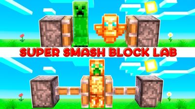 Super Smash Block Lab on the Minecraft Marketplace by DogHouse