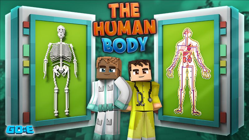 The Human Body