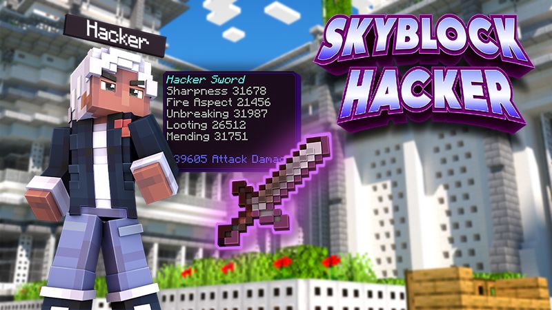 Skyblock Hacker