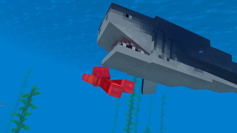 Sharks Survival by Kreatik Studios