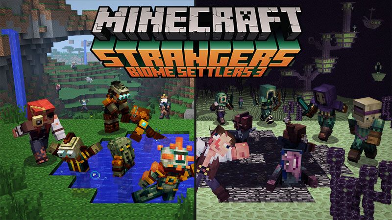 Strangers - Biome Settlers 3