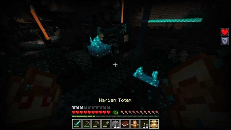 Totems+ Add-On by Diveblocks