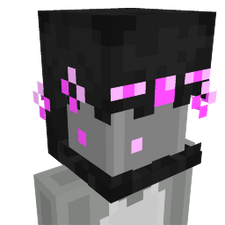 Enderman Hat Enderman Hat