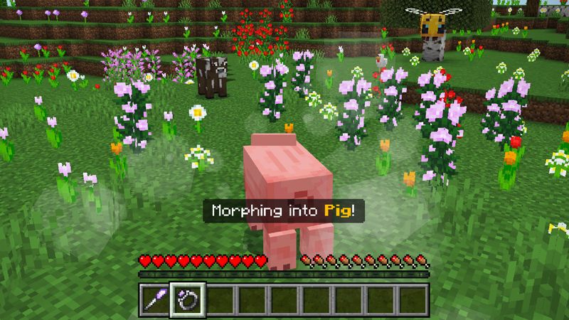 Morph Into Anything 2.0 Add-On by Square Dreams