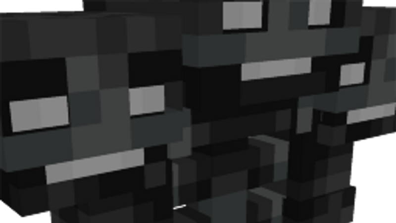 Wither Armour