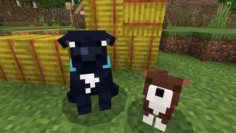 Rescue Dogs - MUTTS! Add-On by StacyPlays