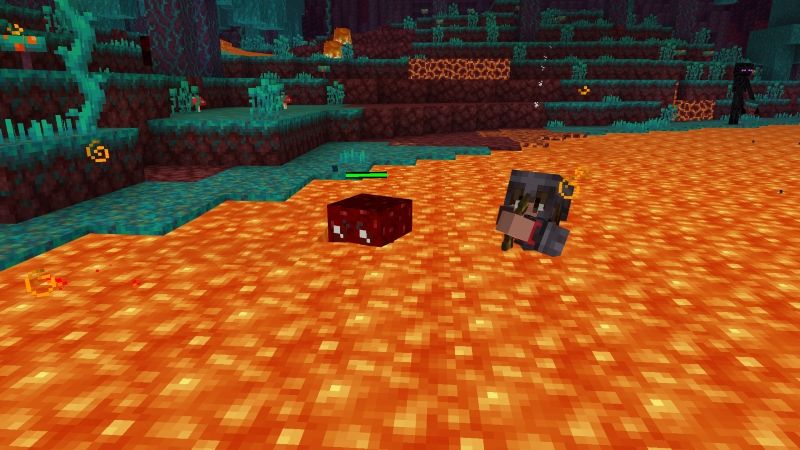 Pet Blocks by A Foxy Toast