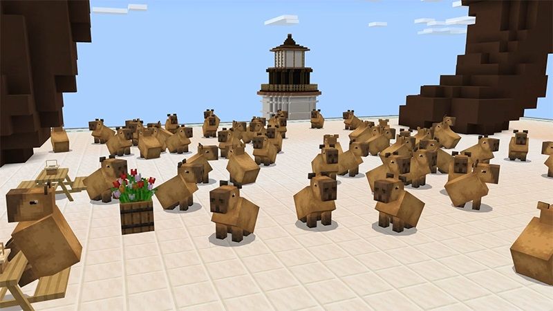 Capybara Town by Lifeboat