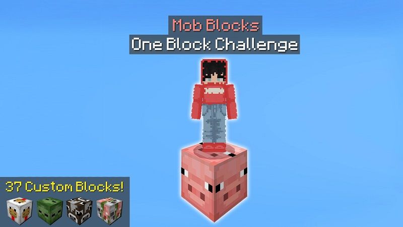 Mob Blocks One Block Challenge