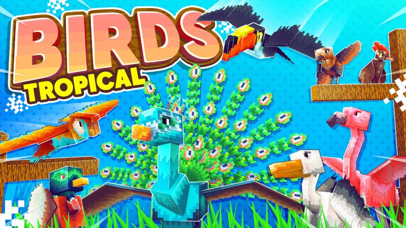 Birds Tropical on the Minecraft Marketplace by Kreatik Studios Birds Tropical on the Minecraft Marketplace by Kreatik Studios