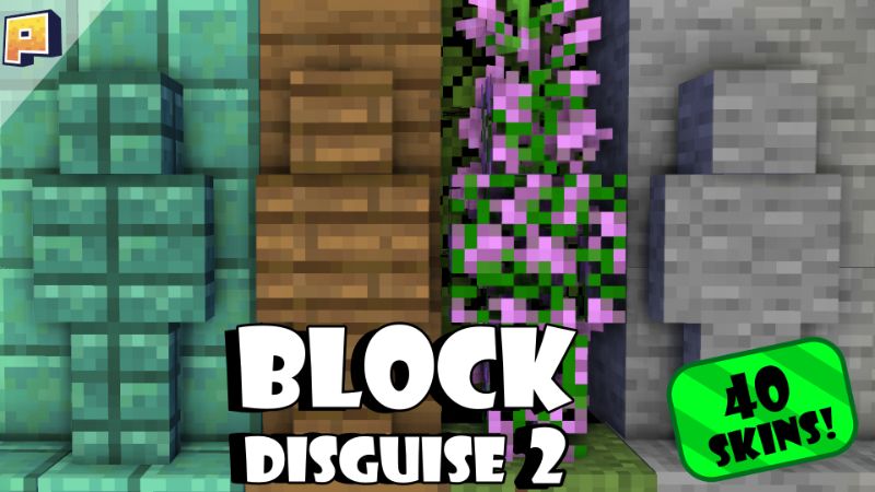 Block Disguise 2