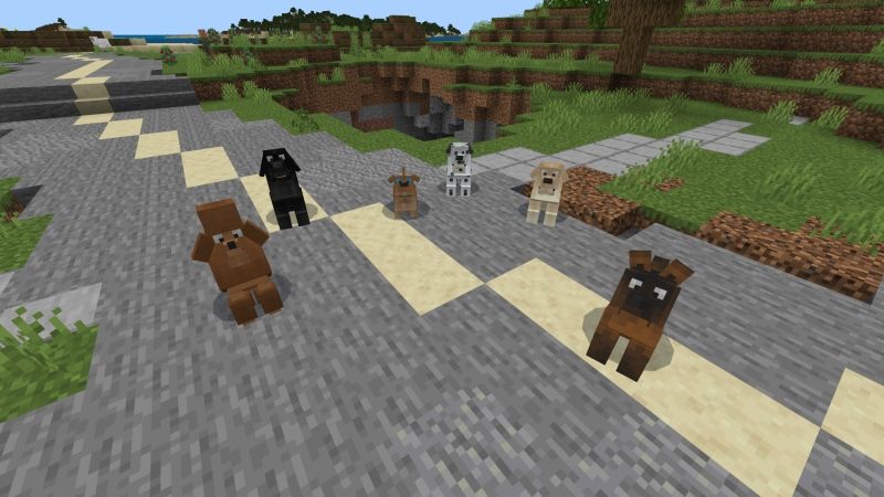 Dogs! by Fall Studios