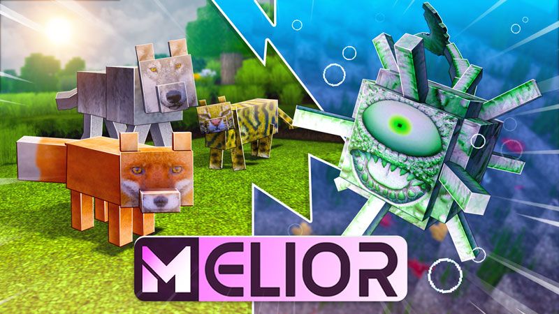 Project MELIOR