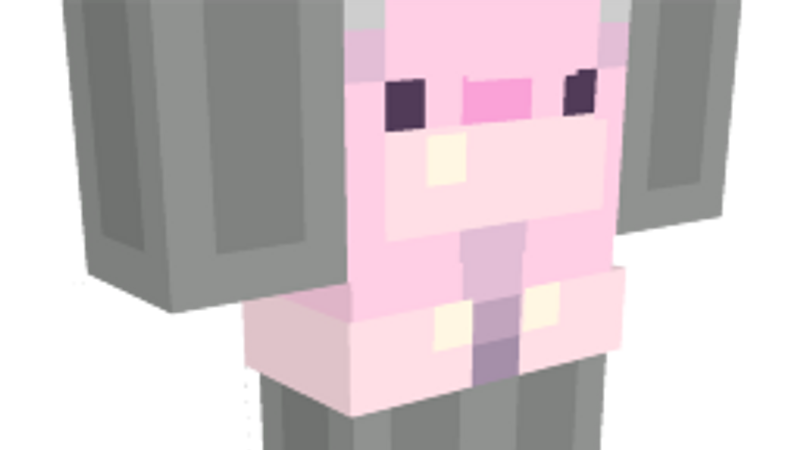 Cute Pink Overalls on the Minecraft Marketplace by Ninja Squirrel Gaming