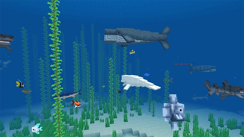 Ocean Expansion Add-On 3.0 by Hourglass Studios