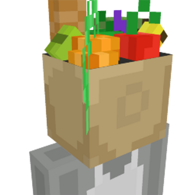 Grocery Bag Head on the Minecraft Marketplace by Oaken