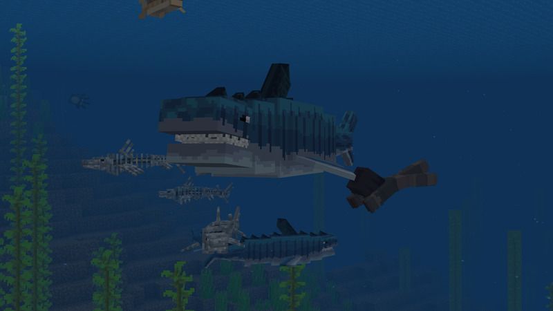 RAFTS by Pathway Studios