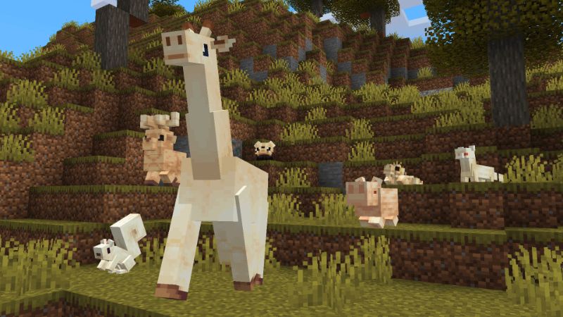 Albino Animals by Hourglass Studios