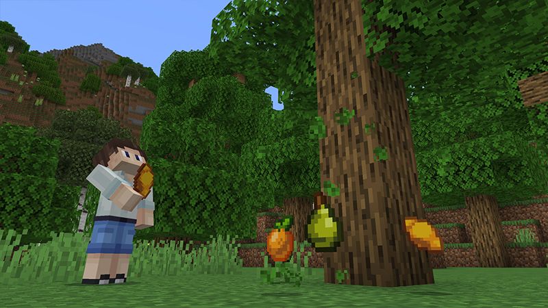 FOOD EXPANSION 1.2 by Minty