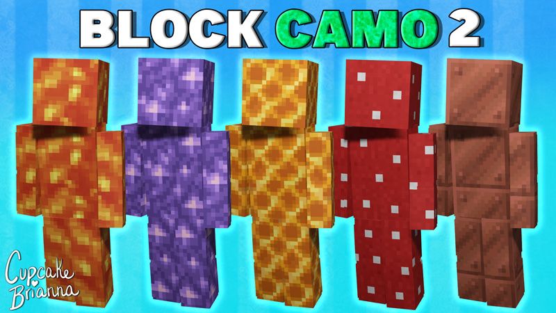 Block Camo 2 HD Skin Pack