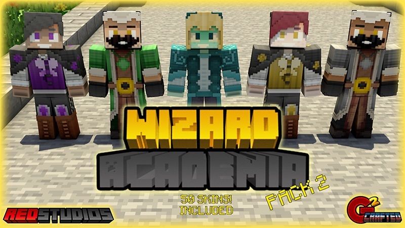 Wizard Skin  Minecraft Skin