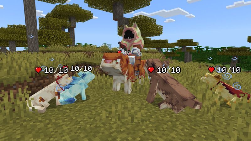 Cat Expansion Add-On by Bunny Studios