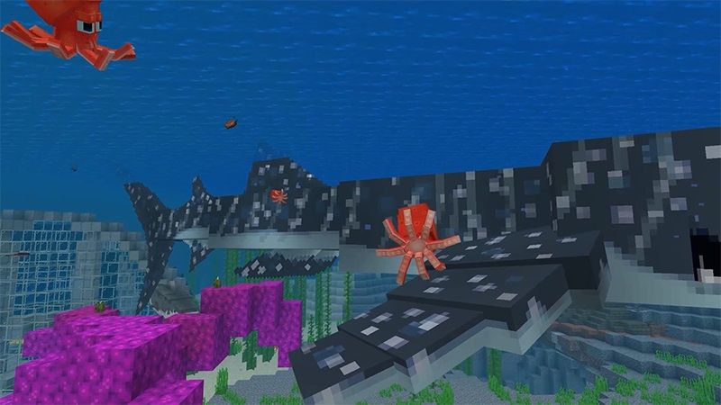 Warm Ocean Mobs by Lifeboat