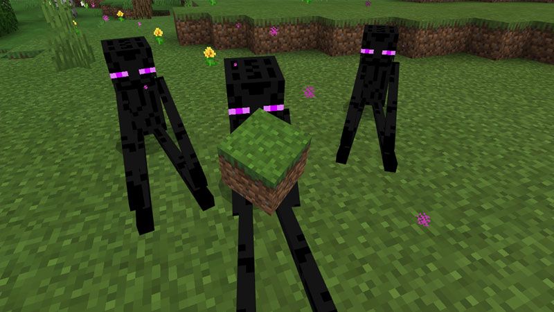 Pet Mobs by CubeCraft Games