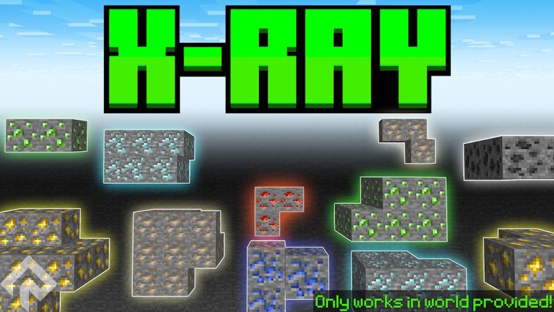 XRAY on the Minecraft Marketplace by RareLoot