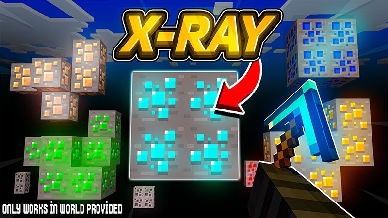 XRAY on the Minecraft Marketplace by Cynosia