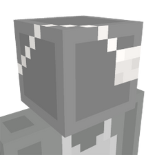 White Eye Patch on the Minecraft Marketplace by 57Digital White Eye Patch on the Minecraft Marketplace by 57Digital