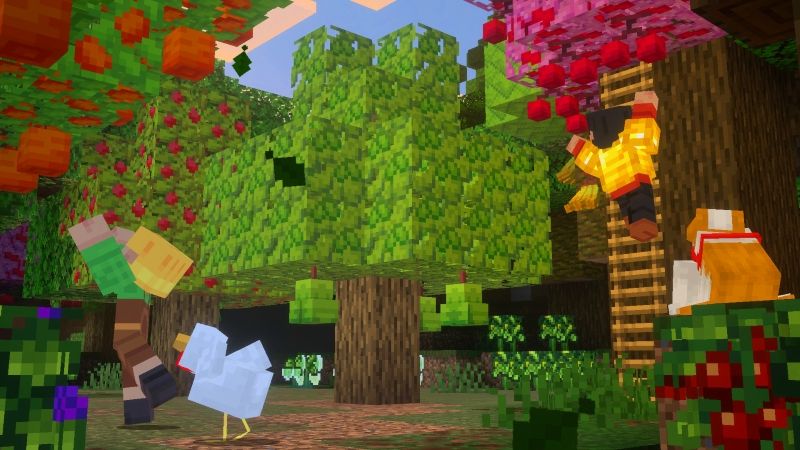 Farms + Foods by Misfits