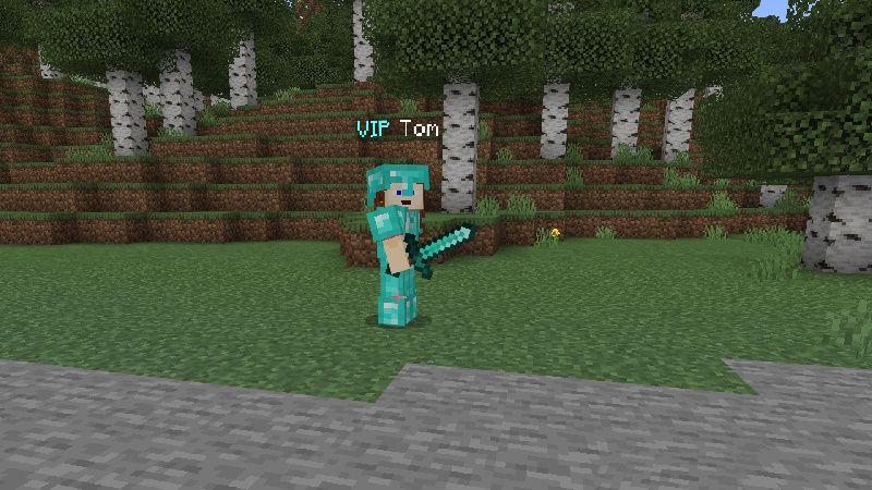 Realm Management Tool - V1.4 by Tomhmagic Creations