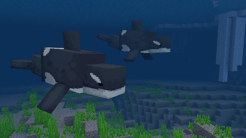 Aquatic Life Add-On by Pathway Studios