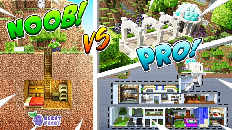 Noob vs Pro