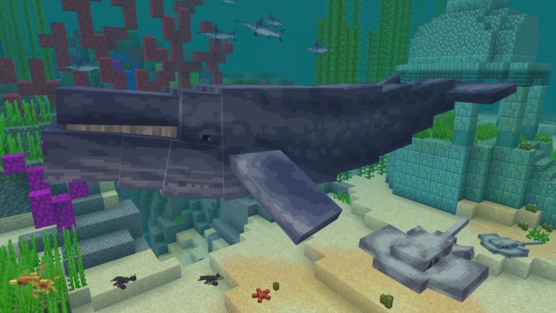 Aquatic Animals by HorizonBlocks