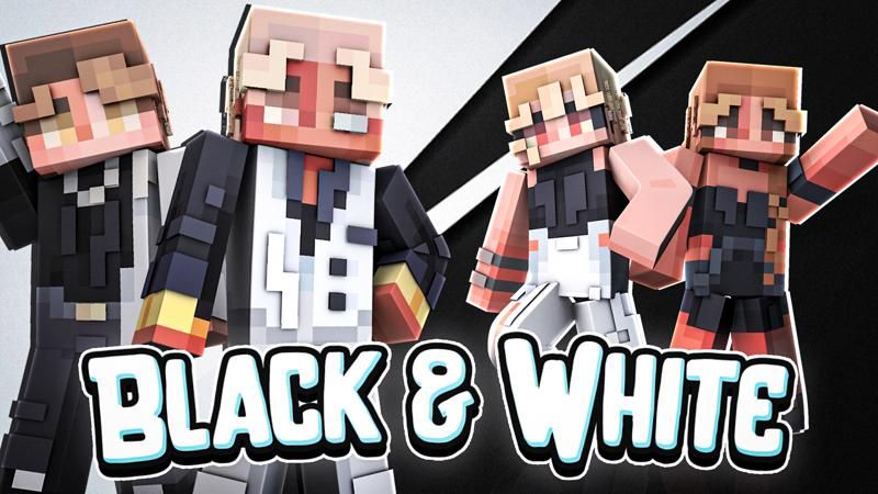Black  White on the Minecraft Marketplace by Sapix