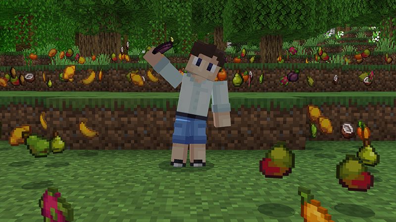 FOOD EXPANSION 1.2 by Minty