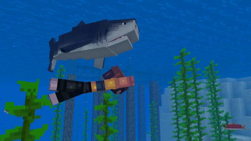 Sharks Survival by Kreatik Studios
