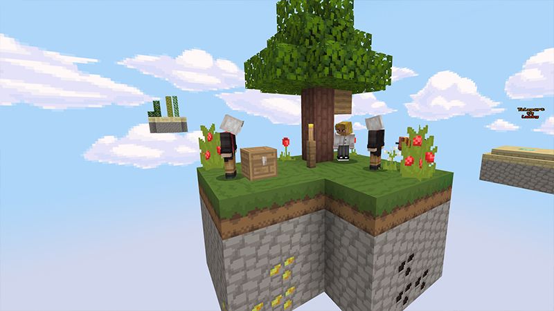 Advanced Skyblock Mash-up by Entity Builds