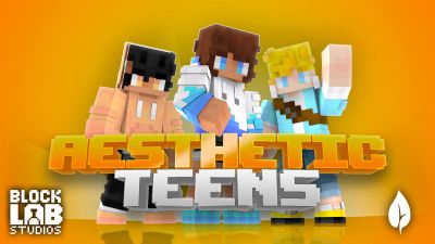 Aesthetic Teens on the Minecraft Marketplace by BLOCKLAB Studios Aesthetic Teens on the Minecraft Marketplace by BLOCKLAB Studios