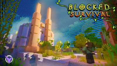 Blocked Survival on the Minecraft Marketplace by Team Visionary