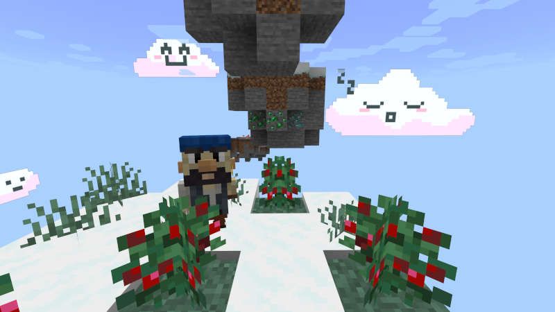 Cute Pirate Skyblock by Jigarbov Productions