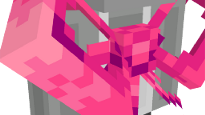 Large Bow
