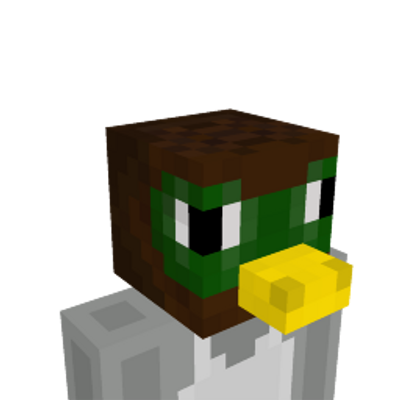 Duck Helmet on the Minecraft Marketplace by Sova Knights