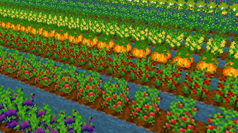 FOOD Add-On FOOD Add-On by ChewMingo