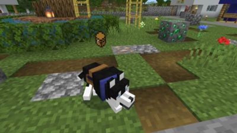 Wolves Plus Add-On v5.0.3 on the Minecraft Marketplace by JWolf Creations