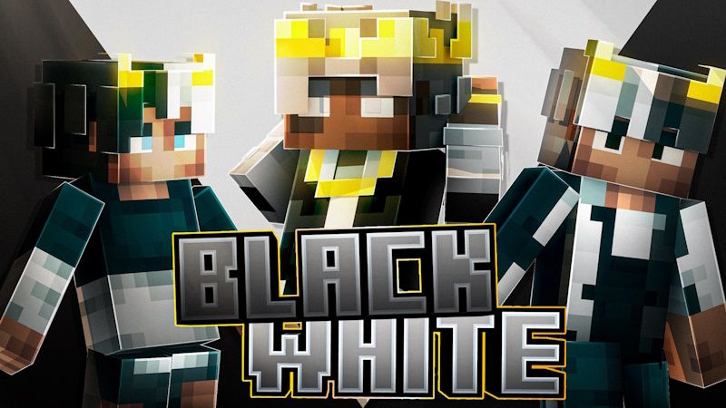 Black  White on the Minecraft Marketplace by Misfits