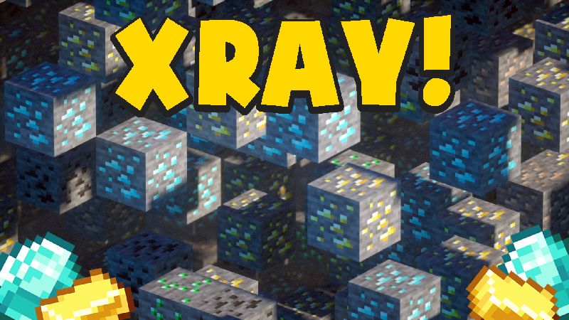 XRAY on the Minecraft Marketplace by Chunklabs